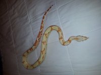 20130429_213243.jpg