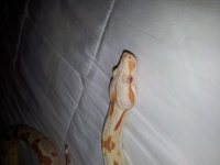 20130429_213255.jpg