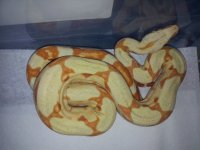 20130412_181603.jpg