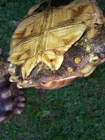 20130511_101816.jpg