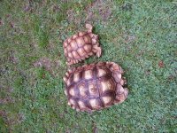20130511_101758.jpg