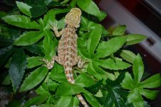 DSC_0356.jpg