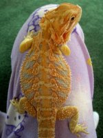 100_4606.jpg