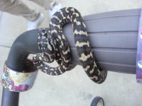 20130718_200413.jpg