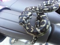 20130718_200124.jpg
