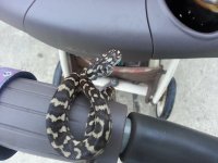 20130718_200209.jpg