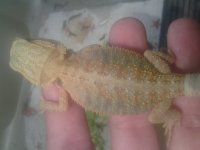 20130802_120113.jpg