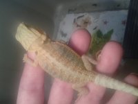 20130802_120102.jpg