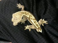 20130610_214735.jpg
