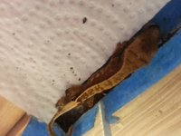 20130611_093441.jpg