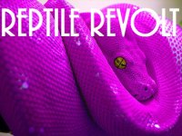 pinksnake1.jpg