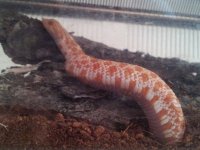 20130727_161415.jpg