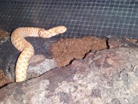 20130727_161759.jpg