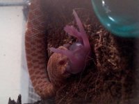 20130727_162504.jpg