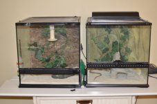 DSC_9751.jpg