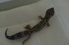 20130626_101453.jpg