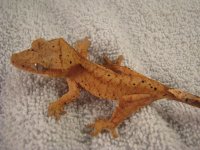 IMG_1177.jpg