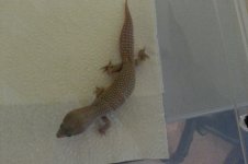20130626_101922.jpg