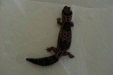 20130626_101546.jpg