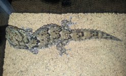 20130430_002256.jpg