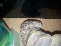 20130430_002215.jpg
