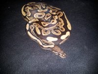 20130403_185846.jpg
