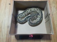 20130615_185353.jpg