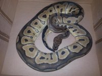 20130615_185437.jpg