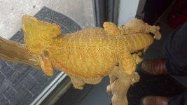tangerine2.jpg