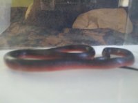 2013-04-22_10-20-24_140.jpg