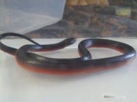 2013-04-22_10-24-59_143.jpg