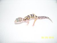 2013 babies 019.jpg