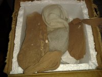 2013-04-12 09.22.15.jpg