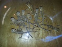 20130412_133331.jpg