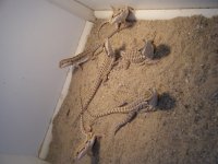 DSCF3748.jpg