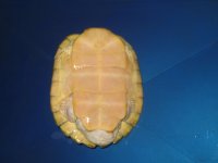 IMG_0743.jpg