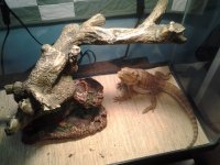20130729_183348.jpg