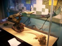 100_7437.jpg
