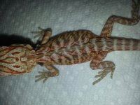 20130603_100637.jpg