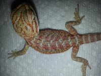 20130603_095546.jpg