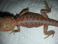 20130603_112534.jpg