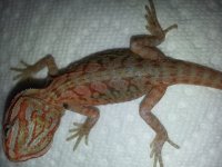 20130603_113125.jpg