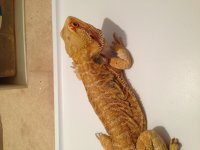 photo (22).jpg