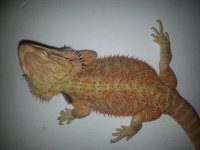 20130629_160340.jpg
