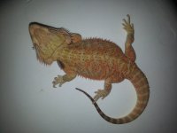 20130629_160352.jpg