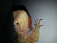 20130629_160415.jpg