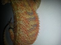 20130629_160534.jpg