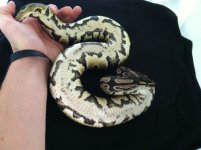 Smaller het pie.jpg