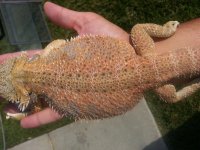 20130706_163957.jpg