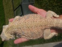 20130706_165043.jpg